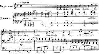 Wandrers Nachtlied II, D.768 | Schubert Accompaniment