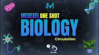 CIRCULATION LECTURE BY DR UMER | NMDCAT , NUMS AKU | MedExel