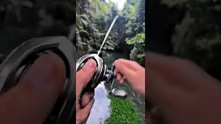 MANCING CHANNA RARE ITEM BERMOTIF BATIK