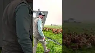 Tuesdays and Fridays are Coop Moving Days at the Farm!