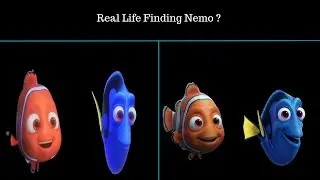 What If Finding Nemo Characters Were Real? | AI Transformation 🌊🐠✨