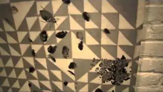 Rob Pruitt and Nate Lowman Bed Bugs at GAVIN BROWN'S ENTERPRISE