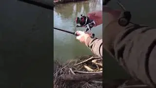 Goture Telescopic Fishing Rods, Sensitive Graphite Composite Blank Construction Review, Performance