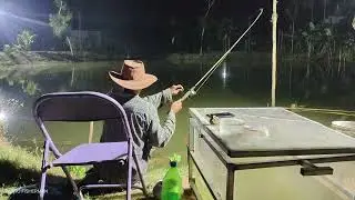 Fish Escapes & Gear Lost! 🌙 Epic Dark Night Battle at Acaci Pond #nightfishing