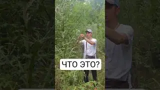 нужная вещь