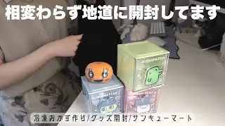 開封したり詰め込み/たまごっちパラダイス買えなくてグッズに逃げた💭