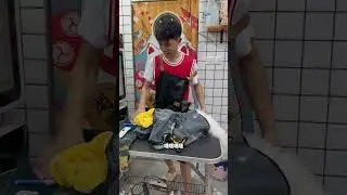 貓咪日常洗護 這貓洗的把我自己都逗樂了哈哈#貓咪洗護 #金吉拉 #喵小弟d洗貓
