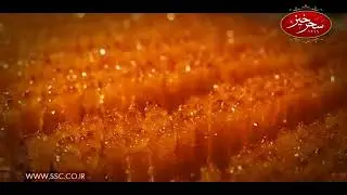 Saharkhiz  سحرخیز