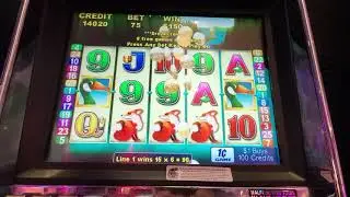 Slot game: wild goose - spin bonus - 5 fox pay line (winnings only)