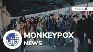 How is monkeypox transmitted ?Causes, Prevention, and Treatment