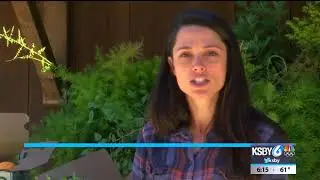 Avila Valley Barn selling produce boxes during COVID-19 pandemic