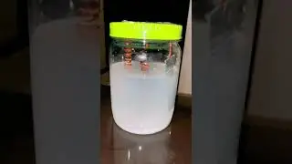 Генератор плазмы/чаша жизни
