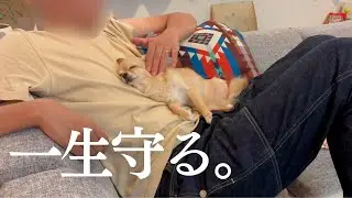 この子を一生守ろうと改めて思った日。