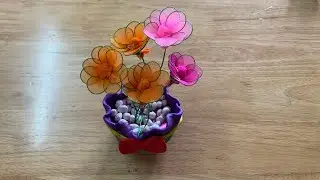 Clay Visual Arts | Potted cherry apricot blossom with many vibrant colors