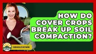 How Do Cover Crops Break Up Soil Compaction? - Farm Wealth Network