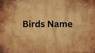 20 Common Birds EVERY Child Should Know | Educational Video for Kids