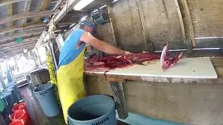 Butchering Amberjack