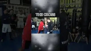 Cross Explaination?? #boxingtechnique #boxinganalysis #boxinghighlights #boxingskills #boxing