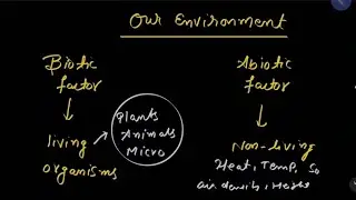 Class 10th Our Environment Rapid Revision @Toppersclub1  #Akshay Sir
