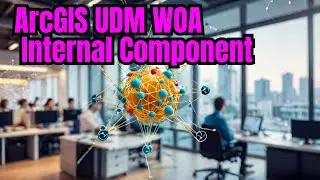 ArcGIS UDM WOA Internal Component
