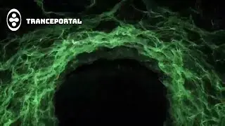 Narel - What Your Cause Will Be | Tranceportal