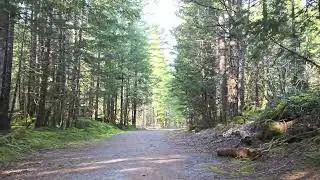 Kalama Falls Trail service road hike + advice - Kalama Falls, Washington 1