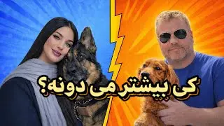  🔥🔥تو بیشتر بلدی یا این خانوم؟!   //// اطلاعات دنیای سگها