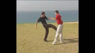 Krav Maga   IKMF   Practitioner 4   ENG