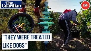 Guardian Investigation Reveals Exploitation of Migrants by Champagne Producers&nbsp;in&nbsp;France
