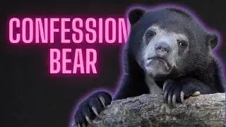 Confession bear - meme compilation