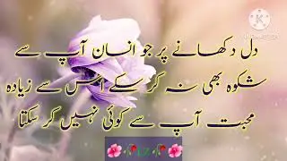 Top Golden words||Muafi quotes in urdu/hindi||galti quotes||Famous urdu quotes