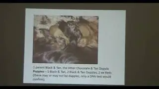 The Genetics of Dachshund Coats and Colours - Helen Kerfoot's presentation