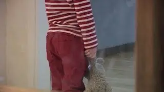 D&ouml;mda tilldelades v&aring;rdnad utan riskbed&ouml;mning - Nyheterna (TV4)
