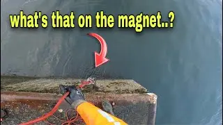 What We Found Hidden Here Was Not Supposed to Be Seen..