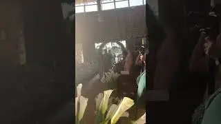 A Amizade É Tudo - Thiaguinho na Entrada das Demoiselles