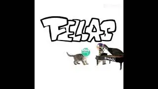 all my felas  #shorts #edit