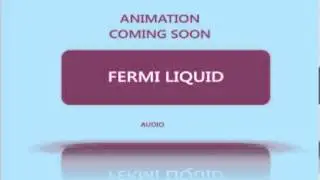 Fermi liquid