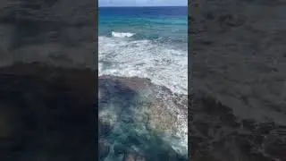 Angaur&rsquo;s Beautiful Volcanic Rocky Coast - Palau 🇵🇼 #visitpalau #palau #travel