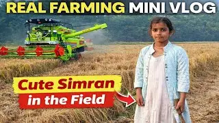Mini Vlog in the Field &ndash; Real Farming with Cute Simran