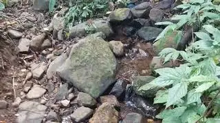 GUNUNG KALUTA