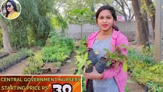 CENTRAL GOVERNMENT NURSERY CUTTACK (Nursery visit) |  #lipshaworld
