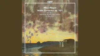 Violin Concerto in A Major, Op. 101: II. Largo con gran espressione