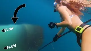 SPEARFISHING with FRIENDS at an Underwater POWER PLANT! | Headhunter Nomad POLESPEAR | Ep. 84