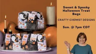 KIT TOGETHER:  Sweet and Spooky Halloween Treat Box Kit by Stampin' Up!