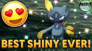 THE BEST SHINY EVER! Insane Shiny Hisuian Sneasel in Pokemon Legends Arceus!