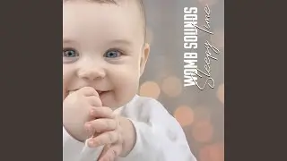 Womb Sounds Sleepy Time