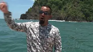 Fly Navarro Intro