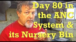 80-day ANC worm composting system & its cocoon nursery - vermicompost