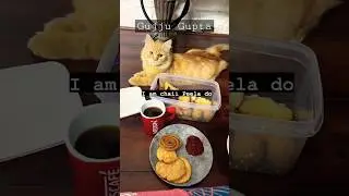 when there is - temperature 🌡️🤒 #cold #coldweather #animal #cat #funny #shorts #viral #pets #love