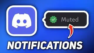 How to Mute Discord Notifications on PC (Windows 11)